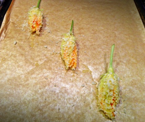 Read for the oven, not the fryer!