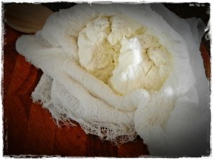 Cheesy Perfection! So easy!