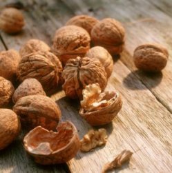walnuts