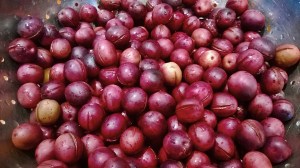 Ready for the finish brine